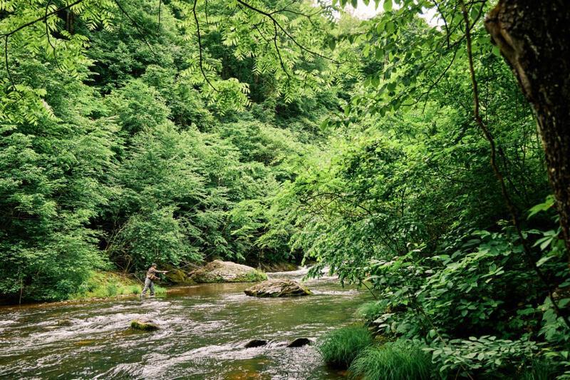 Meadows of Dan Primland Resort, Auberge Resorts Collection מראה חיצוני תמונה